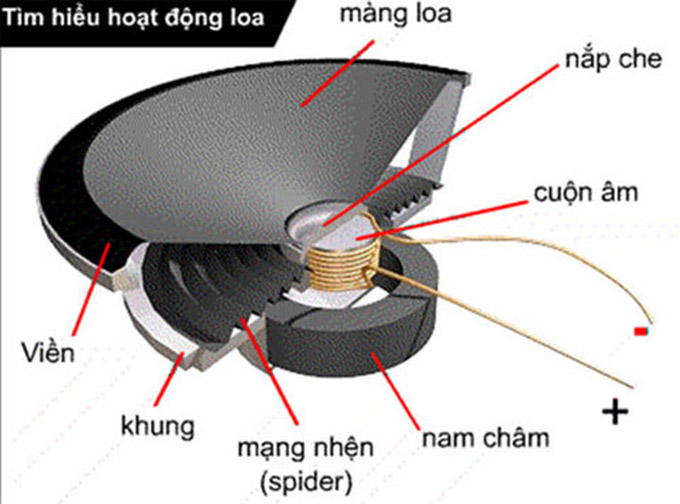 Củ Loa (Driver)