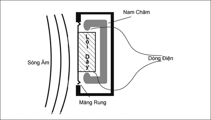 Micro Dynamic là gì?