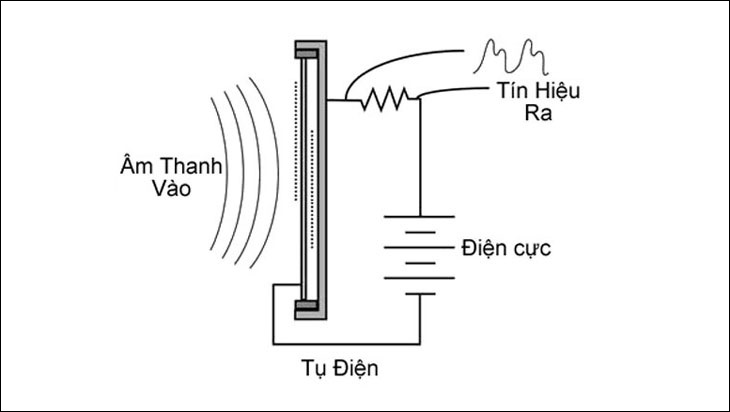 Micro Condenser là gì?