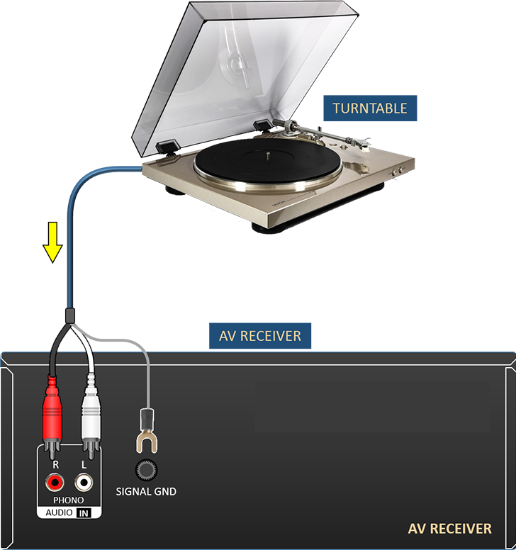 Cổng Phono là gì? Đặc điểm và vai trò