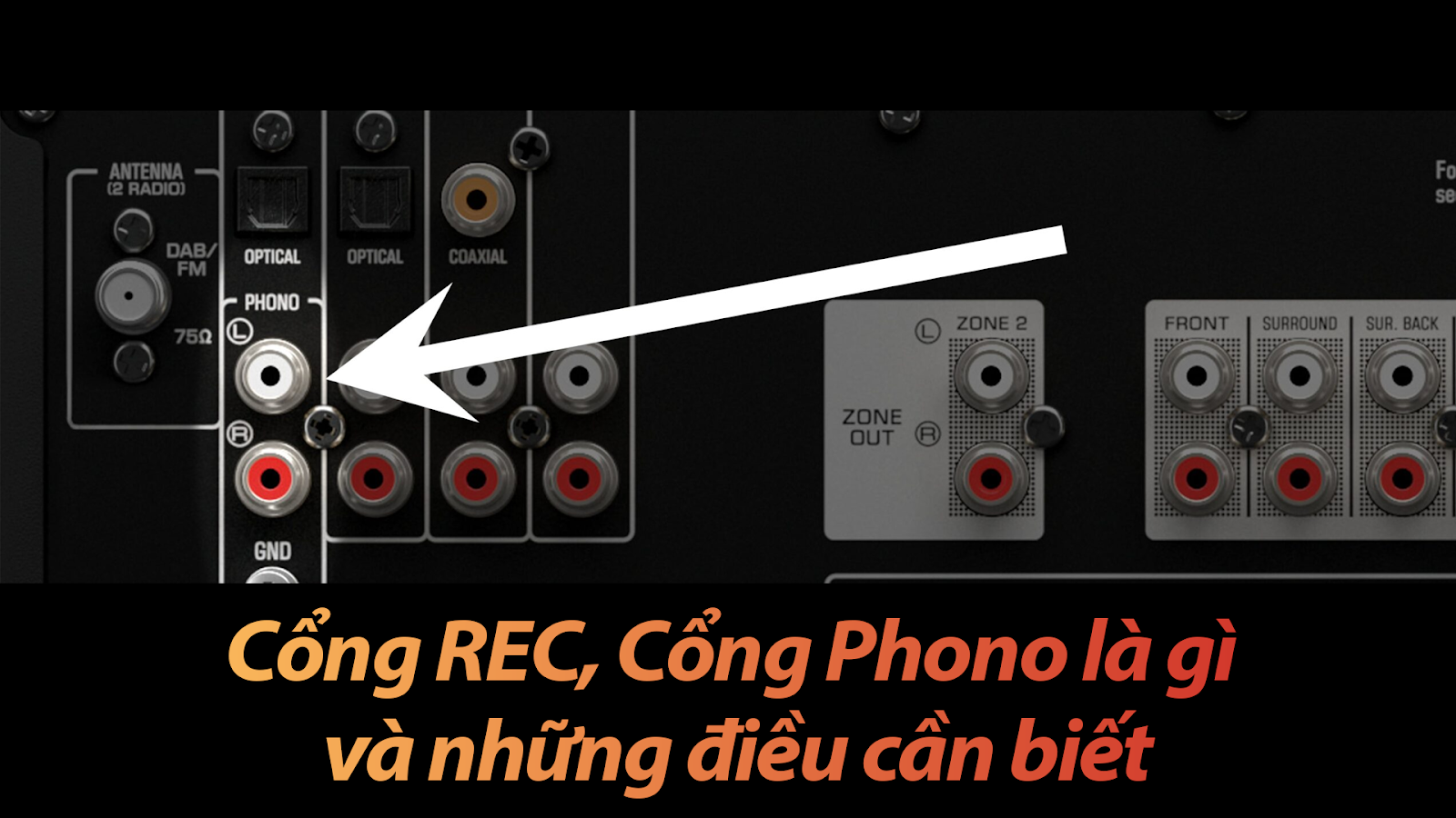 Cổng REC, Cổng Phono là gì và những điều cần biết
